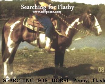 SEARCHING FOR HORSE Penny, Flashy Near Savannah, MO, 64485